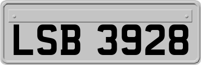 LSB3928