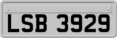 LSB3929