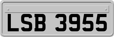 LSB3955