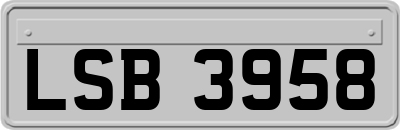 LSB3958