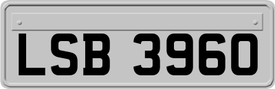 LSB3960
