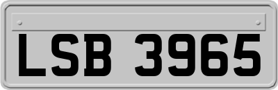 LSB3965