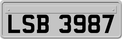 LSB3987