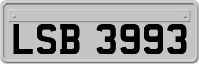 LSB3993
