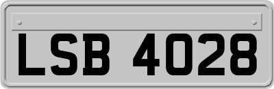 LSB4028
