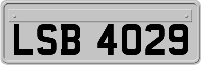 LSB4029