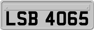 LSB4065