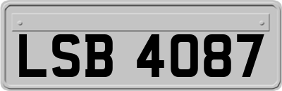 LSB4087