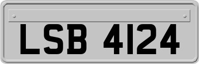 LSB4124