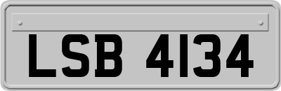 LSB4134
