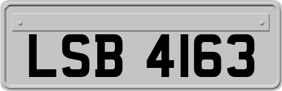 LSB4163