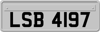LSB4197