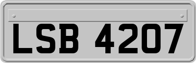 LSB4207
