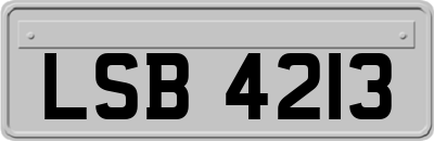 LSB4213