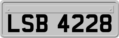 LSB4228