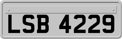 LSB4229