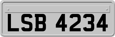 LSB4234