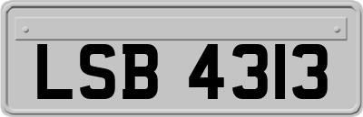 LSB4313