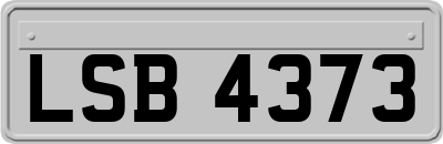 LSB4373