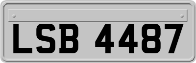 LSB4487
