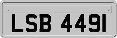 LSB4491