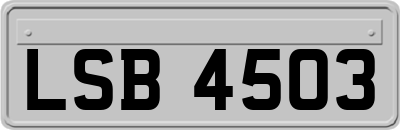 LSB4503