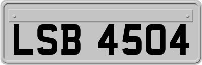 LSB4504
