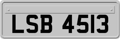 LSB4513