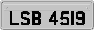 LSB4519