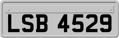 LSB4529