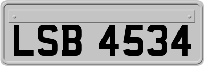 LSB4534