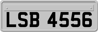 LSB4556