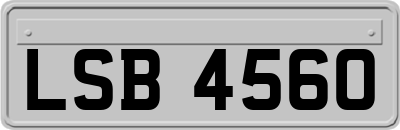 LSB4560