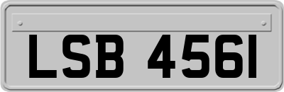 LSB4561