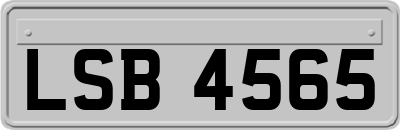 LSB4565