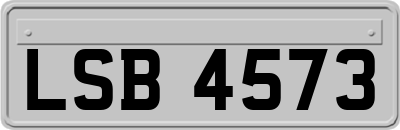 LSB4573