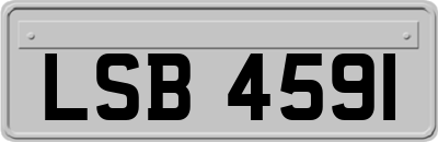 LSB4591