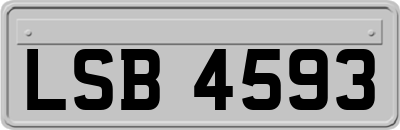 LSB4593
