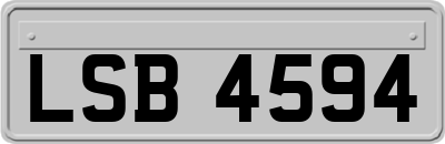 LSB4594