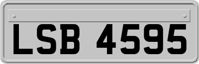 LSB4595