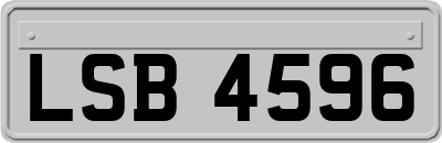 LSB4596