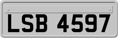 LSB4597