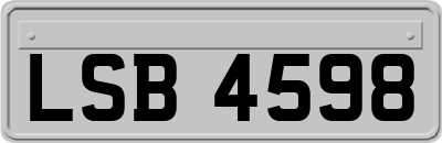 LSB4598
