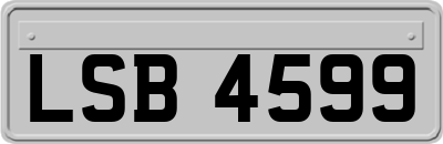 LSB4599