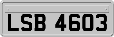 LSB4603
