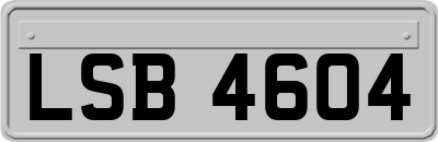 LSB4604