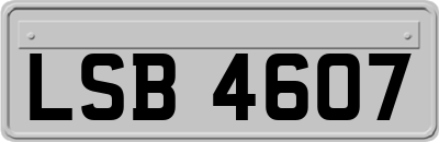 LSB4607