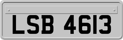 LSB4613