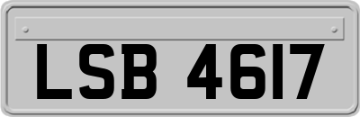 LSB4617