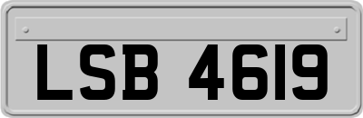 LSB4619